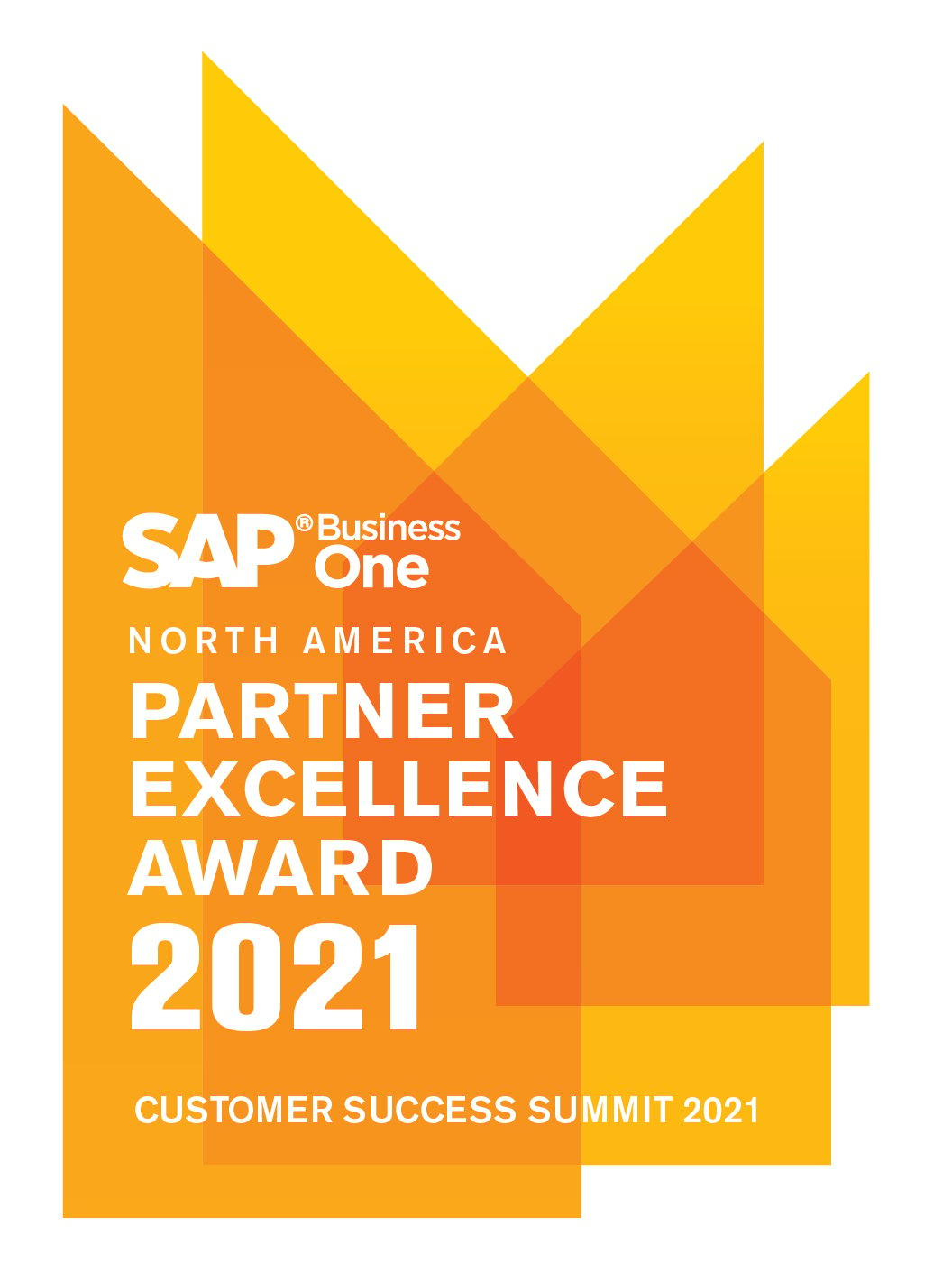 SAP Business One Partner Excellence Award